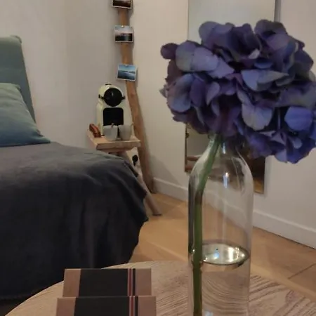 Dalhia Centre Apartment Biarritz